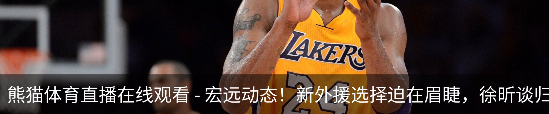 新闻动态
