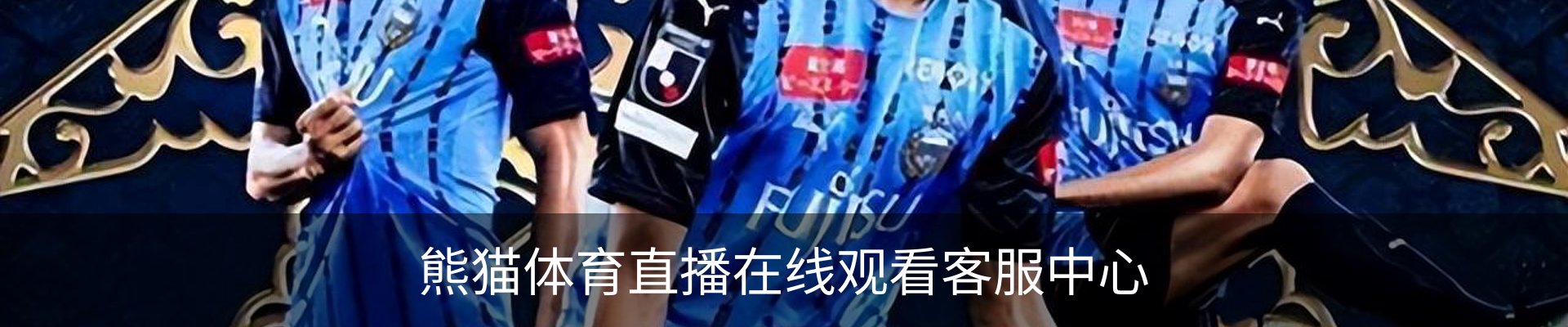 熊猫体育直播在线观看客服中心