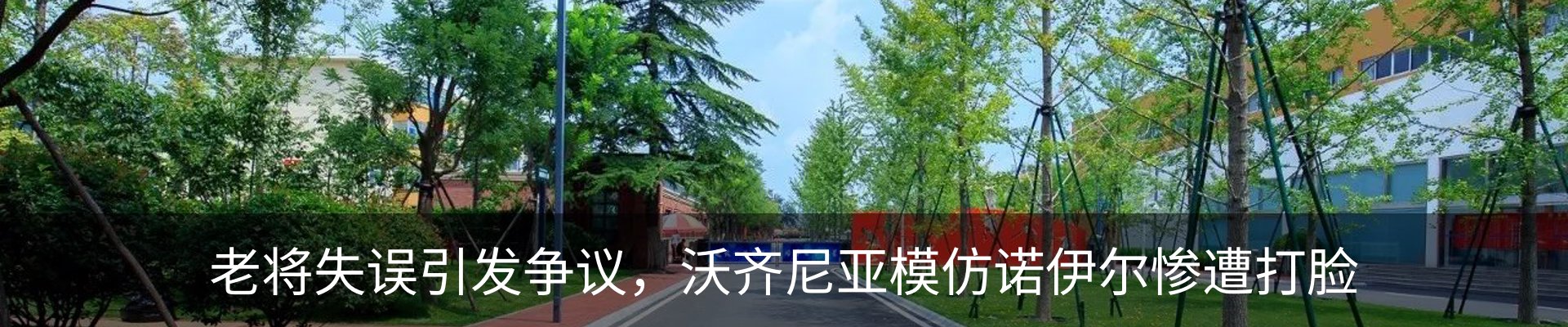 新闻动态